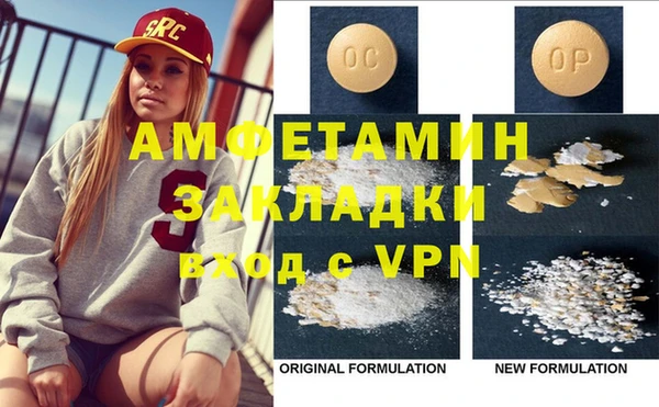 ПСИЛОЦИБИНОВЫЕ ГРИБЫ Абаза