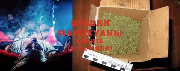 ПСИЛОЦИБИНОВЫЕ ГРИБЫ Абаза