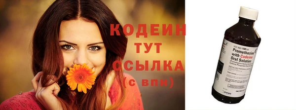ПСИЛОЦИБИНОВЫЕ ГРИБЫ Абаза